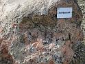 2012-10-07,_Nochten (59)